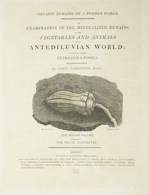 Parkinson, James - Organic Remains of a Former World. An Examination of the Mineralised Remains of the Vegetables and Animals of the Antediluvian World; Generally Termed Extraneous Fossils, 1st edition, vol. 2 (of 3), 4t